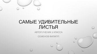 Самые удивительные листья 3 класс