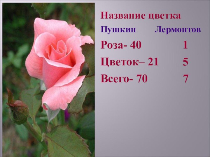 Название цветкаПушкин  ЛермонтовРоза- 40    1Цветок– 21  5Всего- 70   7