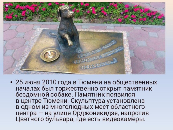 25 июня 2010 года в Тюмени на общественных началах был торжественно открыт памятник бездомной