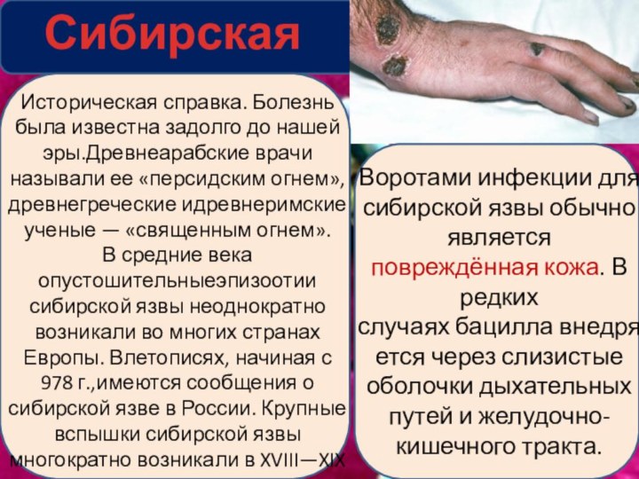 Сибирская язваВоротами инфекции для сибирской язвы обычно является повреждённая кожа. В редких