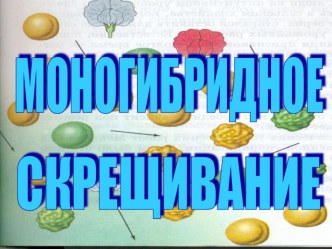 ПрезентацияМоногибридное скрещивание организмов