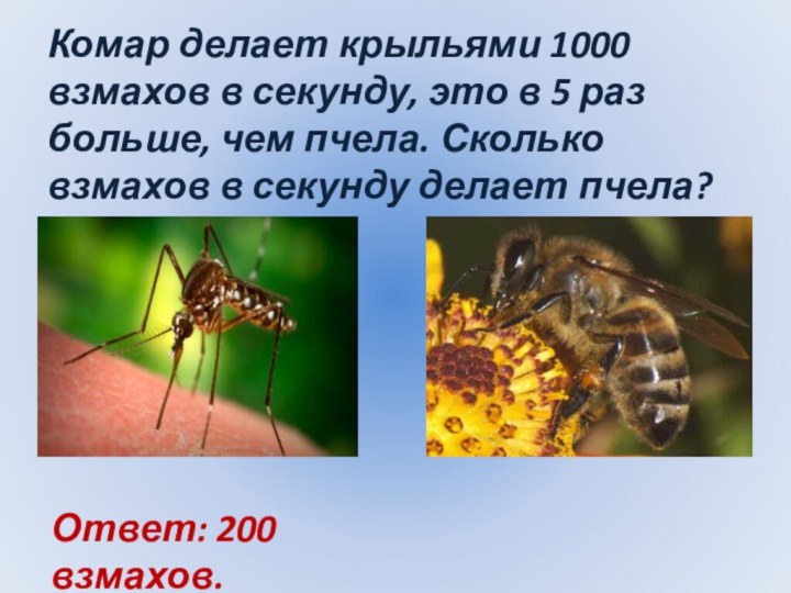 Комар делает крыльями 1000 взмахов в секунду, это в 5 раз