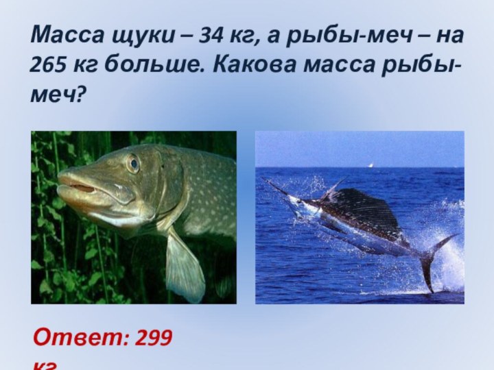 Масса щуки – 34 кг, а рыбы-меч – на 265 кг