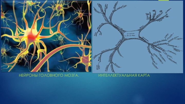 Нейроны головного мозга.         Интеллектуальная карта
