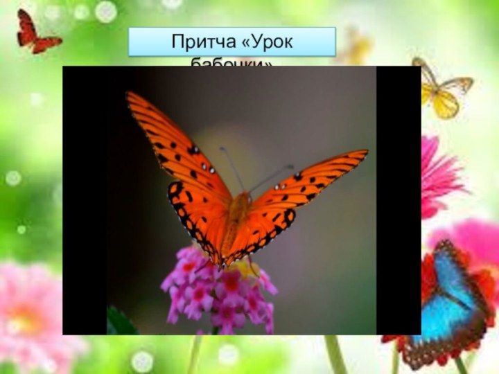 Притча «Урок бабочки»