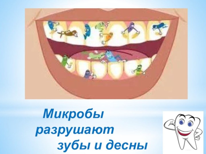 Микробы разрушают   зубы и десны