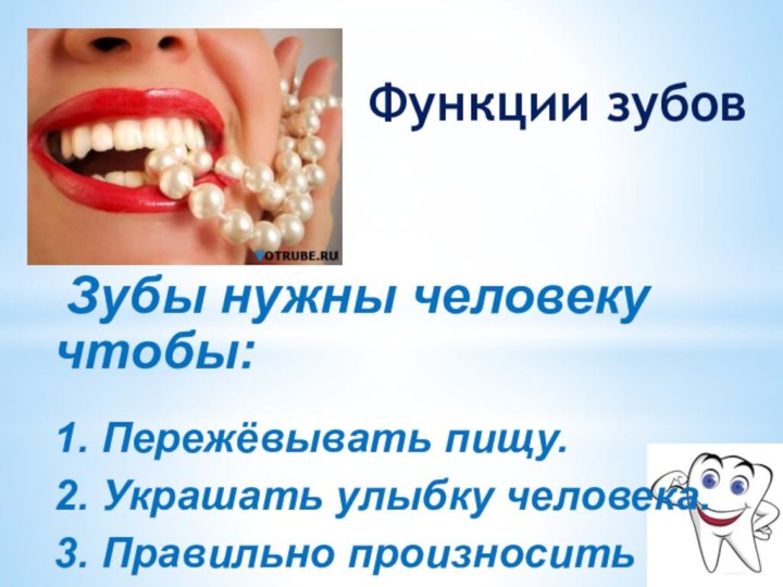 Функции зубов Зубы нужны человеку