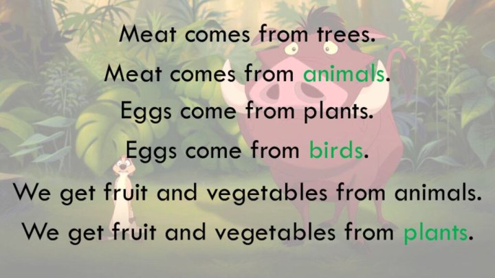 Meat comes from trees.Eggs come from plants.We get fruit and vegetables