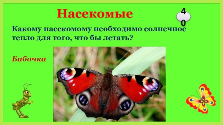 Бабочка Какому насекомому необходимо солнечное тепло для того, что бы летать?40Насекомые