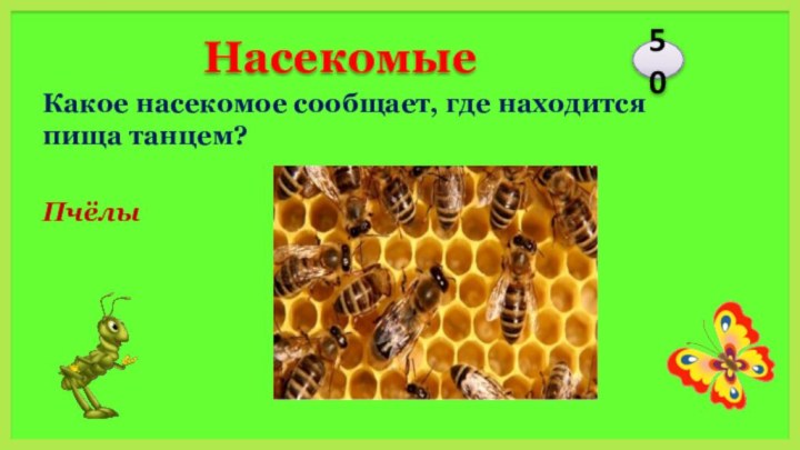 ПчёлыКакое насекомое сообщает, где находится пища танцем?50Насекомые