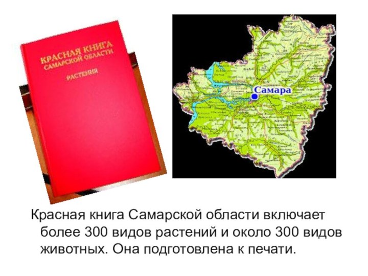 Красная книга Самарской области включает более 300 видов растений и