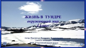 Окружающий мир. 4 класс. Жизнь в тундре. Перетятько В. В.