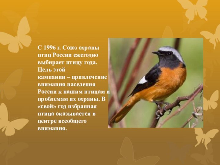 С 1996 г. Союз охраны птиц России ежегодно выбирает птицу года. Цель