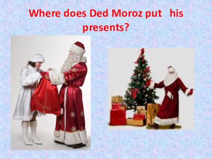 Where does Ded Moroz put  his presents?