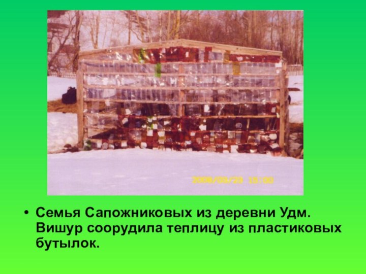 Семья Сапожниковых из деревни Удм. Вишур соорудила теплицу из пластиковых бутылок.