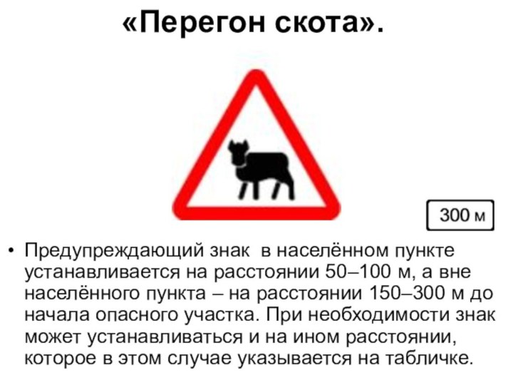 «Перегон скота».Предупреждающий знак в населённом пункте устанавливается на расстоянии 50–100 м,