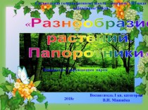 Презентация Разнообразие растений. Папоротники. Окружающий мир.