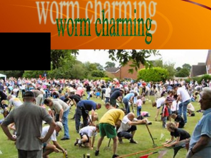 worm charming