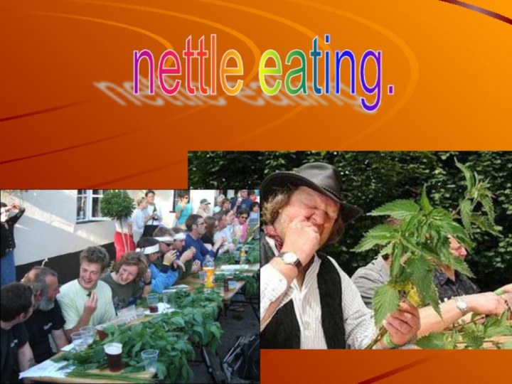 nettle eating.