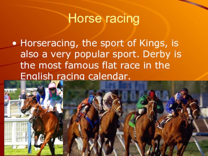 Horse racingHorseracing, the sport of Kings, is also a very popular