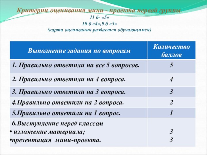 Критерии оценивания мини - проекта первой группы.  11 б- «5»