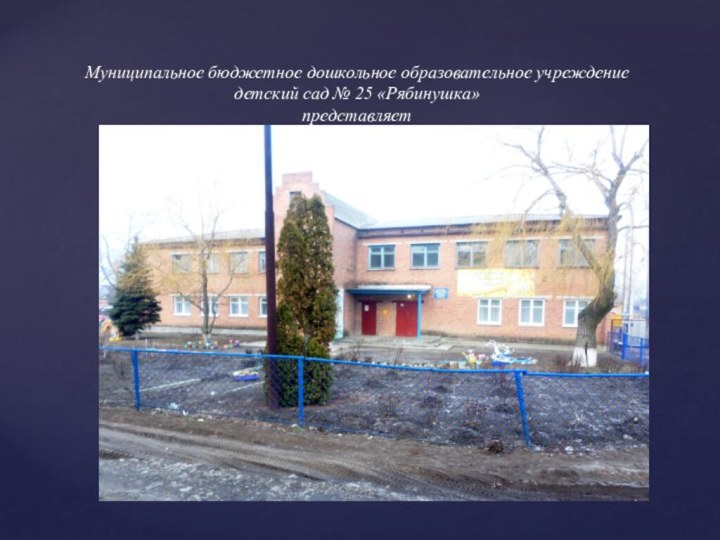 Муниципальное бюджетное дошкольное образовательное учреждение детский сад № 25 «Рябинушка» представляет