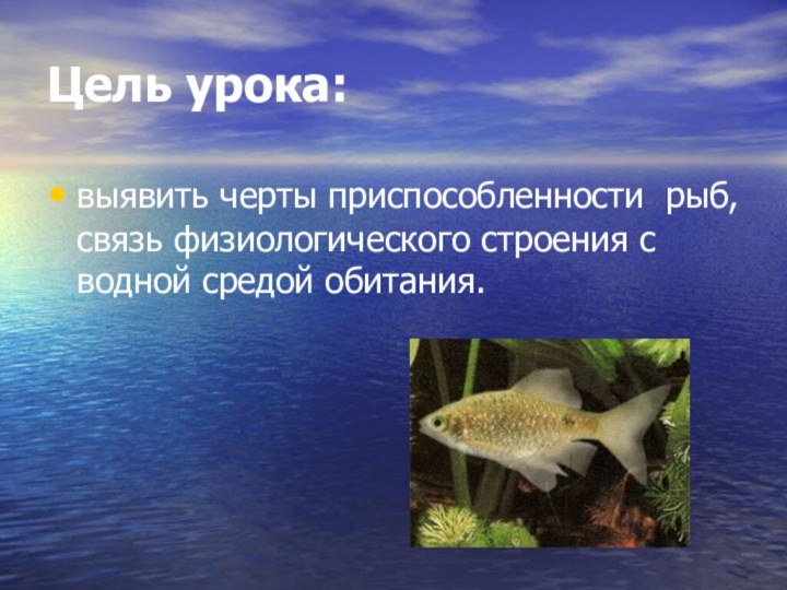 Цель урока: выявить черты приспособленности рыб, связь физиологического строения с водной средой обитания.