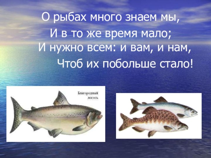 О рыбах много знаем мы, И в то же время мало;