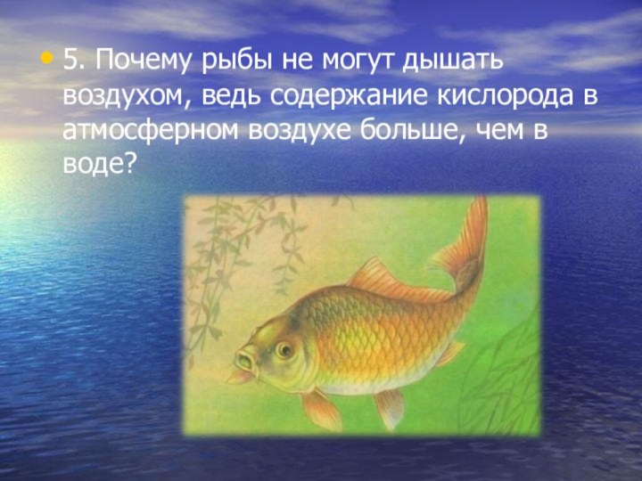 5. Почему рыбы не могут дышать воздухом, ведь содержание кислорода в атмосферном