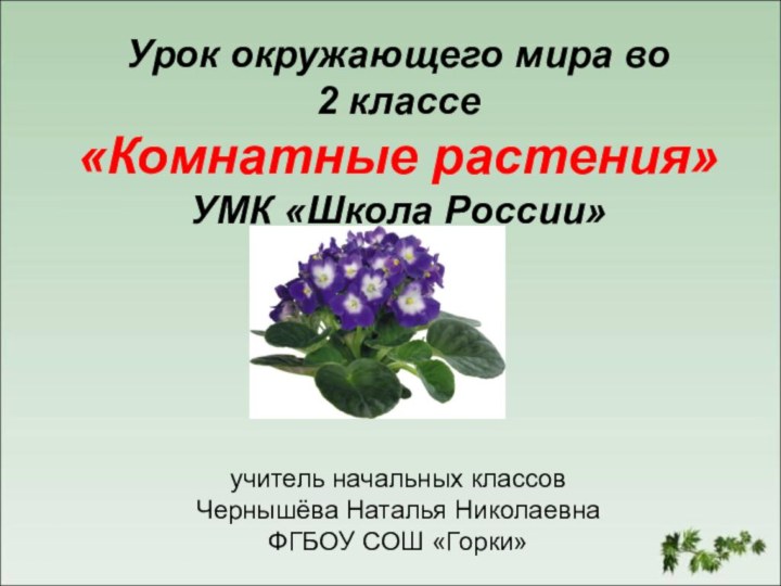 Урок окружающего мира во  2 классе «Комнатные растения» УМК «Школа России»