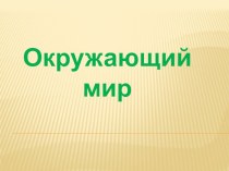 Презентация  В гости к осени окружающий мир 2 класс