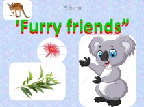 Презентация Furry friends (5 класс)