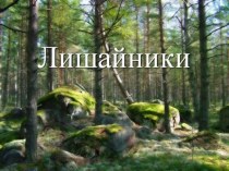 Презентация по биологии на тему: Лишайники(5 класс)