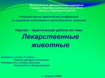 Презентация по внеурочной деятельности для расширения кругозора учащихся 7 классов