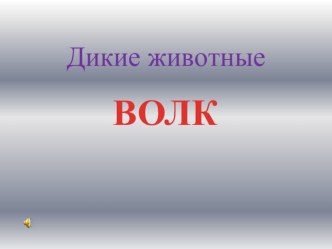 Дикие животные. Волк