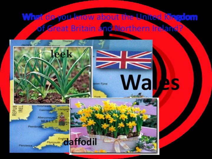 What do you know about the United Kingdom of Great Britain and Northern Ireland?daffodilWales leek