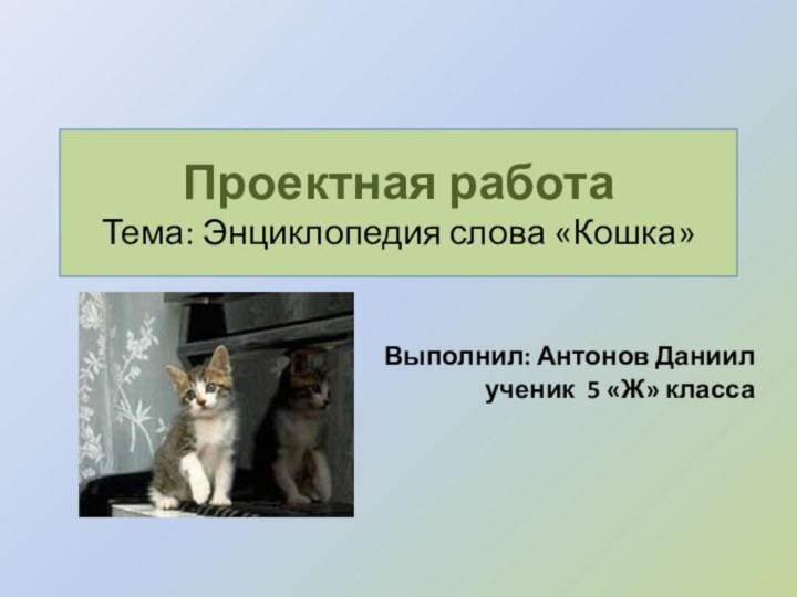 Проектная работа Тема: Энциклопедия слова «Кошка» Выполнил: Антонов Даниил ученик 5 «Ж» класса