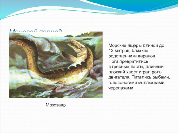 Меловой периодМозозаврМорские ящеры длиной до13 метров, близкиеродственники варанов.Ноги превратилисьв гребные ласты,