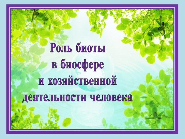 Роль биоты в биосфере и хозяйственной деятельности человека