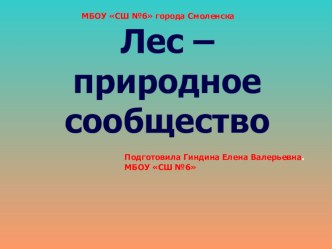 Презентация по окружающему миру 3 класс