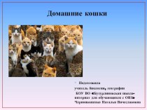 Презентация по природоведению на тему Домашние кошки (школа для обучающихся с ОВЗ, 5 класс))
