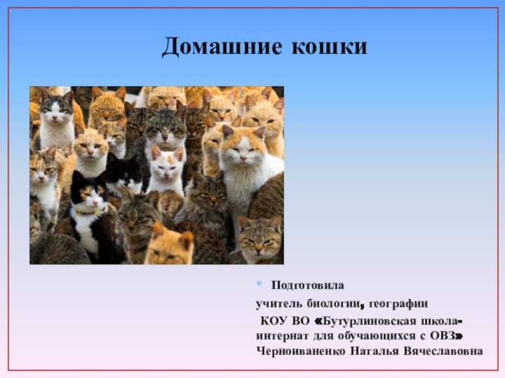 Домашние кошкиПодготовила учитель биологии, географии КОУ ВО «Бутурлиновская школа-интернат для обучающихся с ОВЗ» Черноиваненко Наталья Вячеславовна