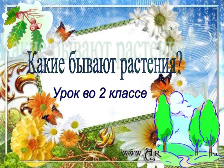 Какие бывают растения?Урок во 2 классе