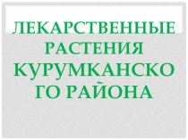 Лекарственные Растения Бурятии и Курумканского района