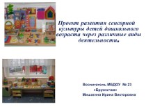 Презентация для педагогов по теме Развитие сенсорной культуры дошкольников
