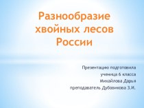 Презентация к уроку биологии Разнообразие хвойных лесов