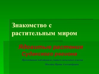 Презентация Растительный мир Судакского региона