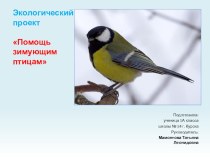 Презентация по окружающему миру по теме: Помощь зимующим птицам?