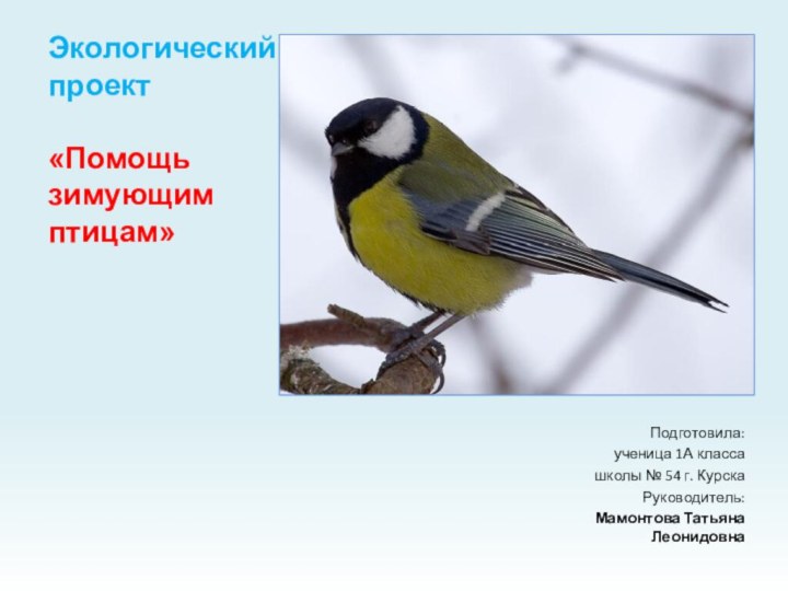 Экологический проект  «Помощь зимующим птицам» Подготовила: ученица 1А класса школы №