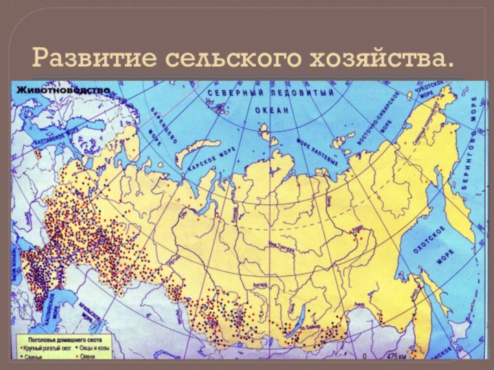 Развитие сельского хозяйства.